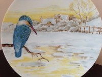 西洋古董瓷器收藏：德国皇家Bareuther细瓷鸟类家居装饰盘挂盘4