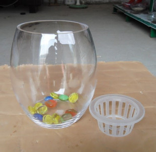 鹅蛋型 水培瓶 玻璃花瓶 透明花瓶 送定植篮 水培植物专用 特价
