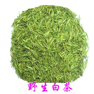2015年新茶绿茶 正宗安吉白茶试品茶5g 珍稀白茶春茶茶叶