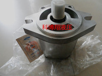 液压齿轮泵 上海大众齿轮泵CBD-F316L29P1