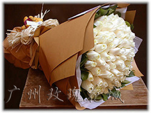 广州特价66枝白玫瑰送女友同城鲜花速递天河海珠越秀白云番禺花店