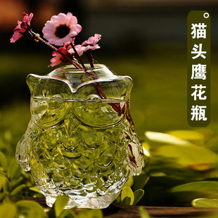 欧式创意猫头鹰水晶透明玻璃花瓶  水培花器 田园插花瓶 家居饰品