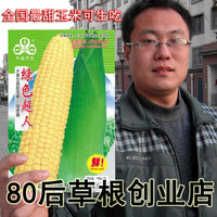 新品 超甜水果玉米种子绿色超人 高产 易种 批发 可生吃满58包邮