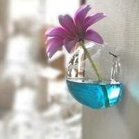 mxmade悬挂式墙壁花瓶 透明玻璃水培装饰器皿 创意居家装饰品