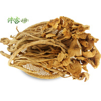 高山特级茶树菇 盖嫩柄脆 250g 绿色山珍