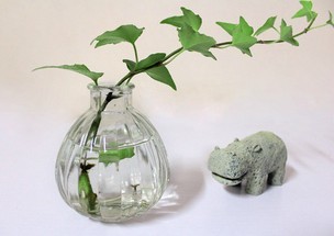 促销 木塞南瓜瓶 植物水培 花瓶水培 插花瓶 玻璃花器 厂家直销