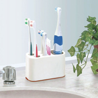 日本进口 SANADA正品 日式牙具整理架 电动牙刷牙膏收纳架整理架