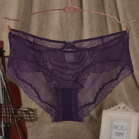 欧美性感女士内裤 透明网纱面料 透视诱惑 蕾丝边平角裤 黑色紫色