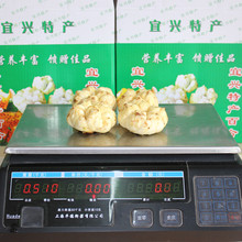 2013年新鲜百合宜兴特产宜兴百合 非兰州百合 一斤3-4个