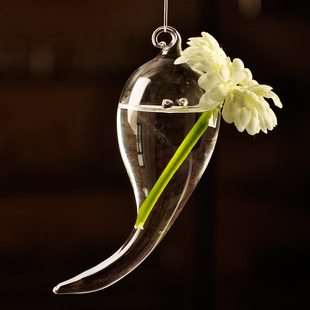欧式创意悬挂符号田园简约透明花瓶 水培多肉植物吊饰 家居装饰品