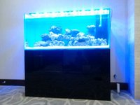 小丑鱼珊瑚缸海水生态超白鱼缸柜一套含水泵蛋分LED灯具等水族箱