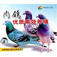 肉鸽养殖技术大全 肉鸽养殖新技术 （8个光盘+3本书籍）专业版