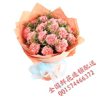 深圳鲜花店16朵粉色康乃馨鲜花束圣诞节鲜花礼品预订