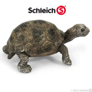 德国思乐Schleich正品散货【仿真动物模型 S14643 小亚达陆龟】