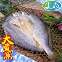 海鲜年货 东海脱脂黄鱼鲞 原生态咸香大黄鱼干 温州黄鱼鲞21元