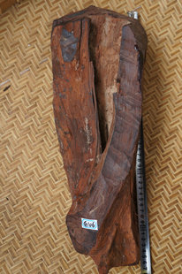 老挝大红酸枝 交趾黄檀 根料 DIY小料 木雕原料G106