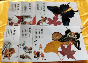 百子图香山蝴蝶标本红叶标本枫叶贺卡片红叶精品书签商务手工