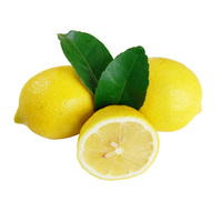 黄柠檬新鲜水果四川安岳柠檬2斤装尤力克柠檬 新鲜多汁大果香柠檬