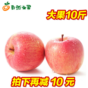【自然之灵】山东烟台栖霞红富士苹果 新鲜水果 85mm大果10斤装