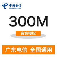 广东电信手机流量充值 300M 全国通用 即时生效流量包