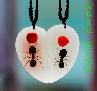 原生态真昆虫标本红豆蚂蚁情侣琥珀吊坠婚庆生日情人节礼物满包邮