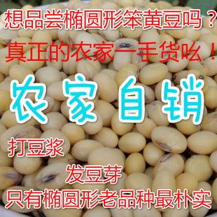 黄豆农家自种有机小土打豆浆发豆芽笨500g代购纳豆纯天然非转基因