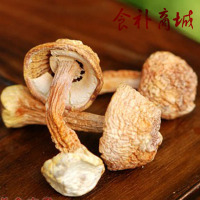 云南土特产 野生特级姬松茸菇菌干货 巴西蘑菇250g包邮