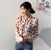 韩国韩国 chic优雅花朵透视雪纺甜美长袖衬衫2017新款女装