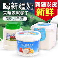 西域春酸奶桶组合 益生菌酸奶大桶浓缩新疆酸奶航空包邮