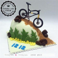 定制蛋糕 自行车蛋糕 山地车蛋糕 生日蛋糕 个性定制 翻糖蛋糕