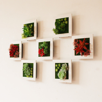 包邮仿真绿植立体多肉植物盆栽墙上装饰品塑料假花壁饰墙饰壁挂件