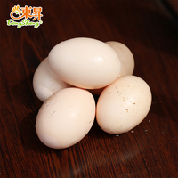 东升农场散养 原生态新鲜土鸡蛋柴鸡蛋 喂食蔬菜杂粮 20枚装