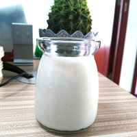酸奶瓶 玻璃瓶 酸奶分杯 储存酸奶 布丁杯100ml 可放酸奶机做酸奶