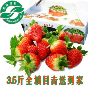 2015上海青浦有机章姬奶油新鲜草莓礼盒装3.5斤团购批发采摘水果