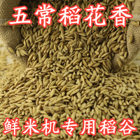 鲜米磨米机专用新稻谷/稻子/带壳/正宗东北五常稻花香大米稻谷