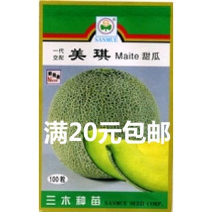 日本三木美琪甜瓜种子 网纹香瓜哈密瓜 高产抗病大面积用种100粒