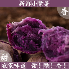 盛世可喜紫薯新鲜珍珠小紫薯地瓜番薯生红薯5斤粗粮蔬菜包邮