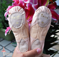 Swiga新款舞蹈鞋女 儿童成人芭蕾软底鞋 帆布练功鞋体操鞋猫爪鞋