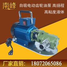 WCB齿轮油泵自吸式电动抽油泵大流量高粘度油泵机油油泵润滑油泵