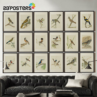 23'POSTeRS插画英国LEWIN鸟百科动物玄关有框现代简约客厅装饰画