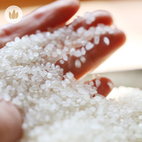 碎米2015年新米农家自留有机大米碎米花宝宝辅食儿童营养粥米500g