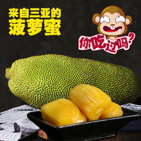 呀诺达 海南三亚特产菠萝蜜热带新鲜水果大果19-21斤干苞现摘包邮