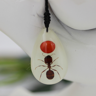 人工琥珀夜光吊坠 真实昆虫红豆蚂蚁吊坠 创意琥珀项链 情侣吊坠