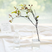 小清新玻璃水培花器 简约透明花瓶 餐桌花插时光小口装饰玻璃花瓶