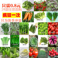 春夏季蔬菜种子套餐 阳台盆栽四季播易种菜种子 春季家庭菜籽包邮