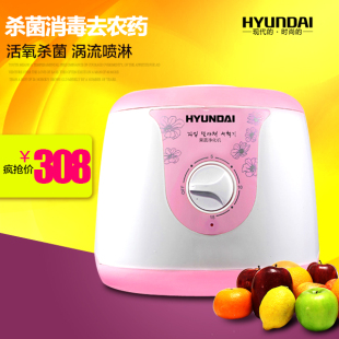 HYUNDAI/现代果蔬消毒清洗机XC-03A臭氧杀菌解毒洗菜机