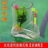 玻璃水晶鞋水培花瓶 玻璃鞋 玻璃水培小花瓶 水培绿箩小靴子花瓶