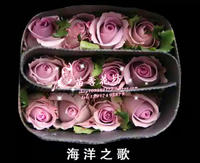 上海鲜花批发家庭用花嘉荷玫瑰12支一扎起批2扎包邮江浙沪皖