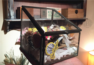 【苞果花房】玻璃花房永生花多肉绿植花盆带盖首饰盒展示盒创意
