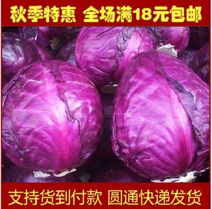蔬菜种子四季种 日本原装进口紫甘蓝种子包邮蔬菜种子春夏夏播
